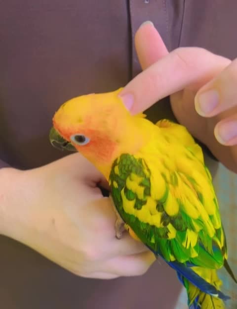 friendly 6 months baby - 2