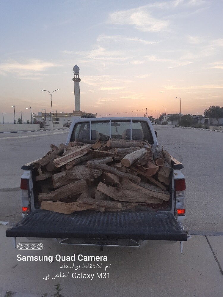 حطب سدر - 3