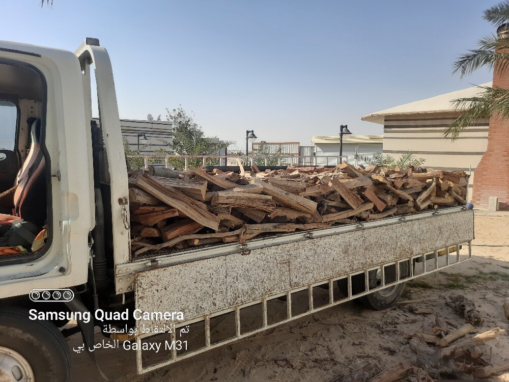 حطب سدر - 2
