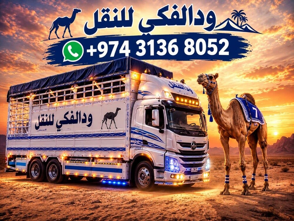 تحميل حلال - 2