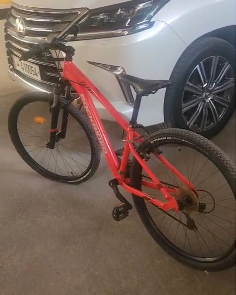 Rockrider ST100 MTB for sale - 2