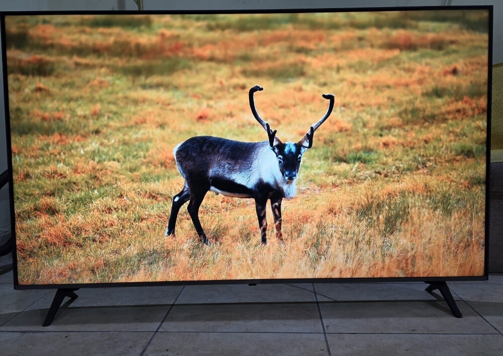LG 65 INCH UHD 4K ULTRA SMART TV - 7