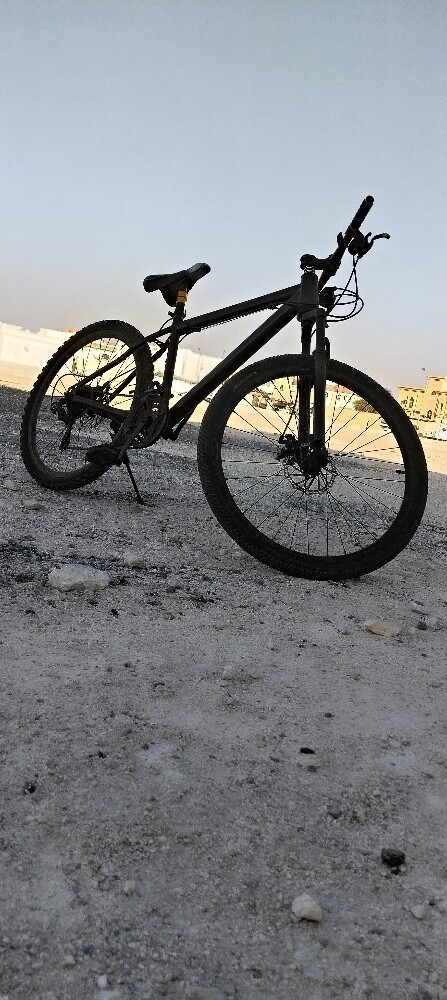 Want to Sell My Cycle - 1