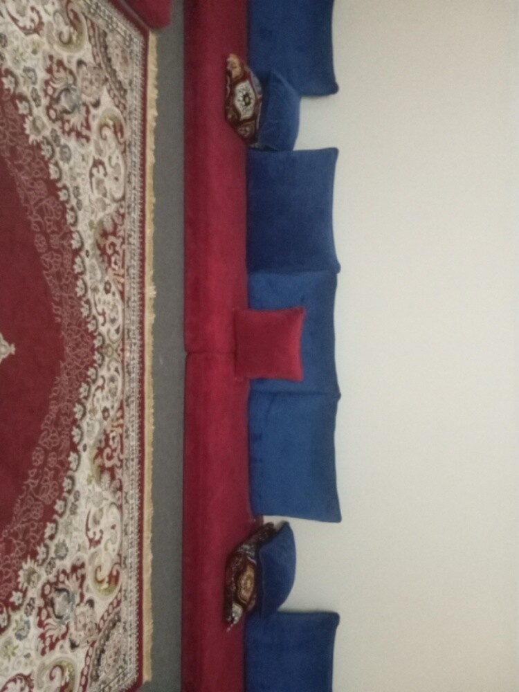 A large Arab council session - 1