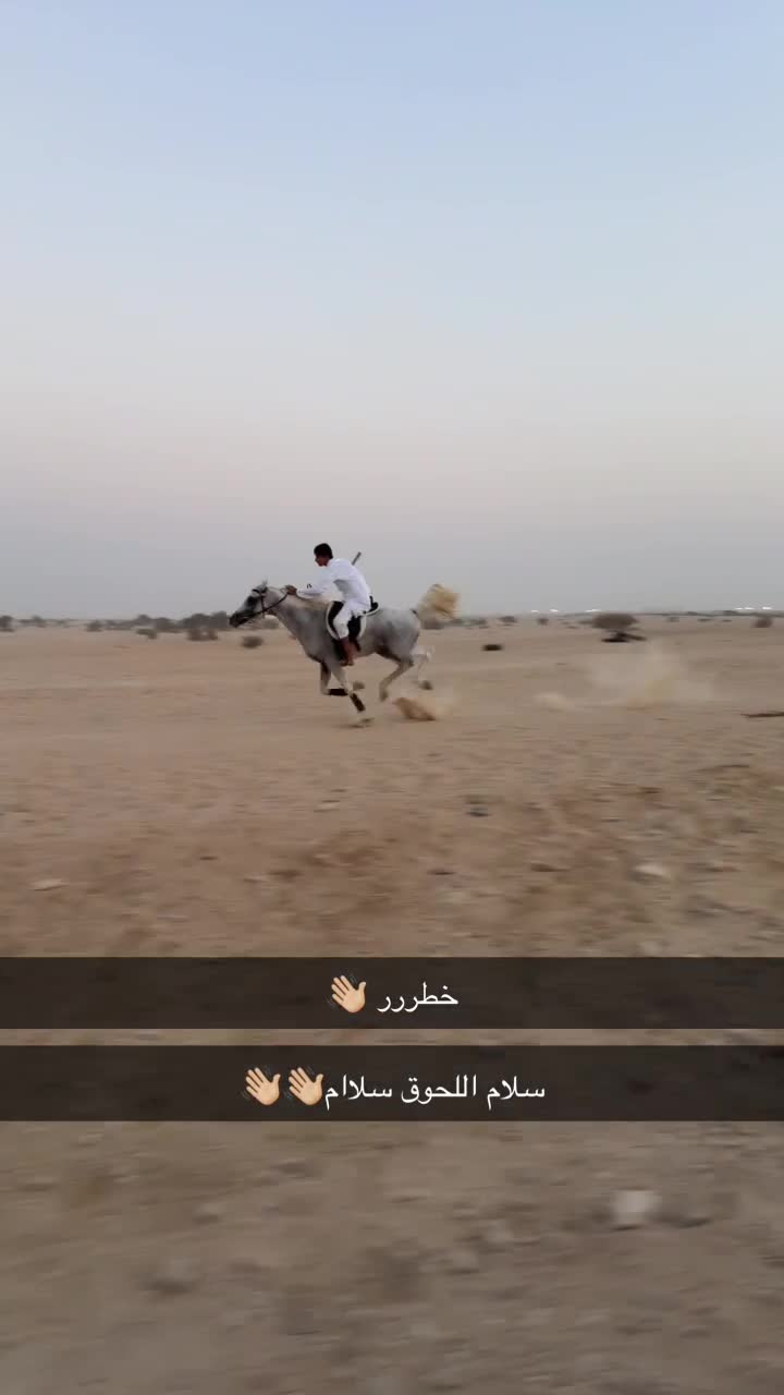 علم الزعيم - 2
