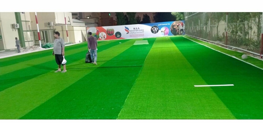 Artificial Grass carpet - 3