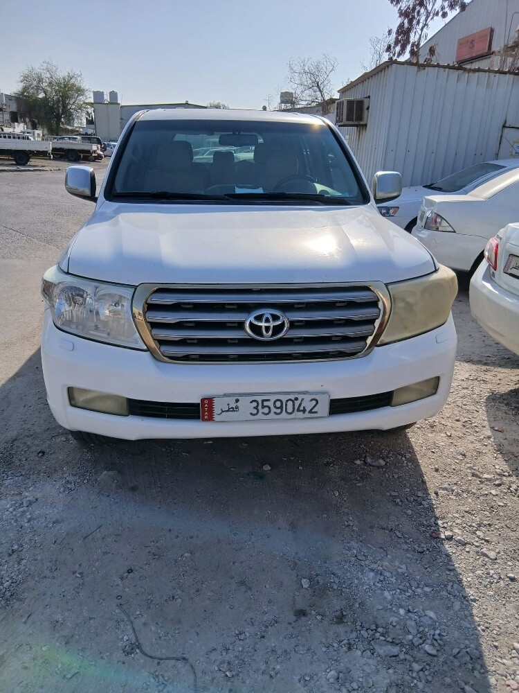 علي - 2