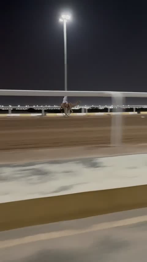 للبيع - 1