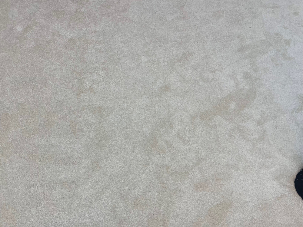 Carpet - 22