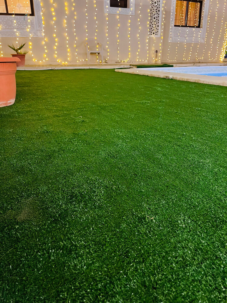 Carpet - 30