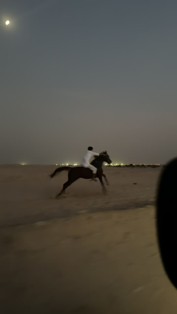للبيع - 2