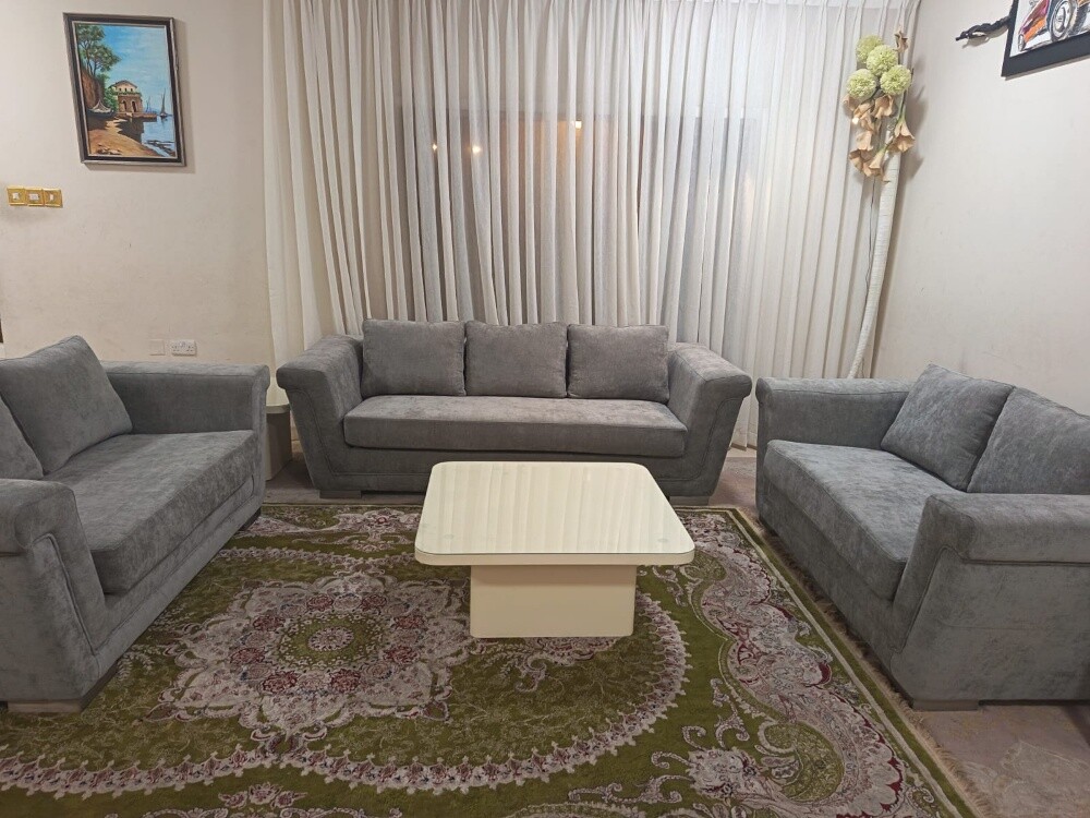 for sell home center sofa set - 2