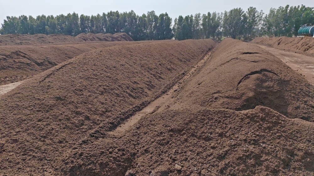 معروض - 1