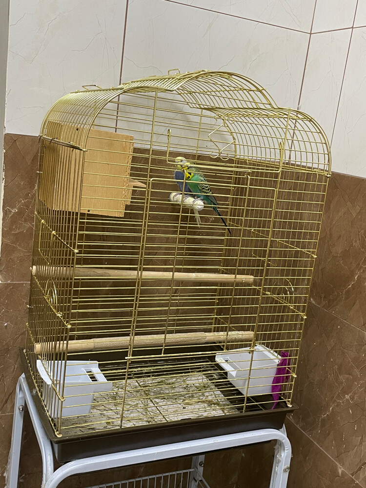 cage  - 1