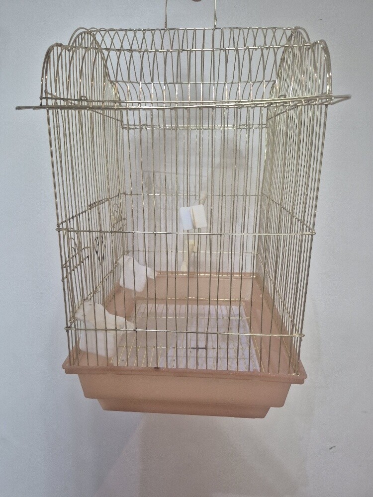 Clean cage for sale - 3