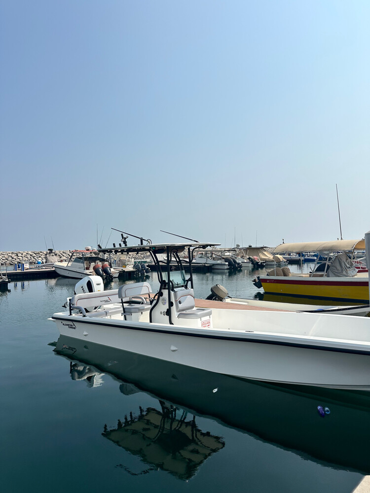 Al Dhafra Marine - 3