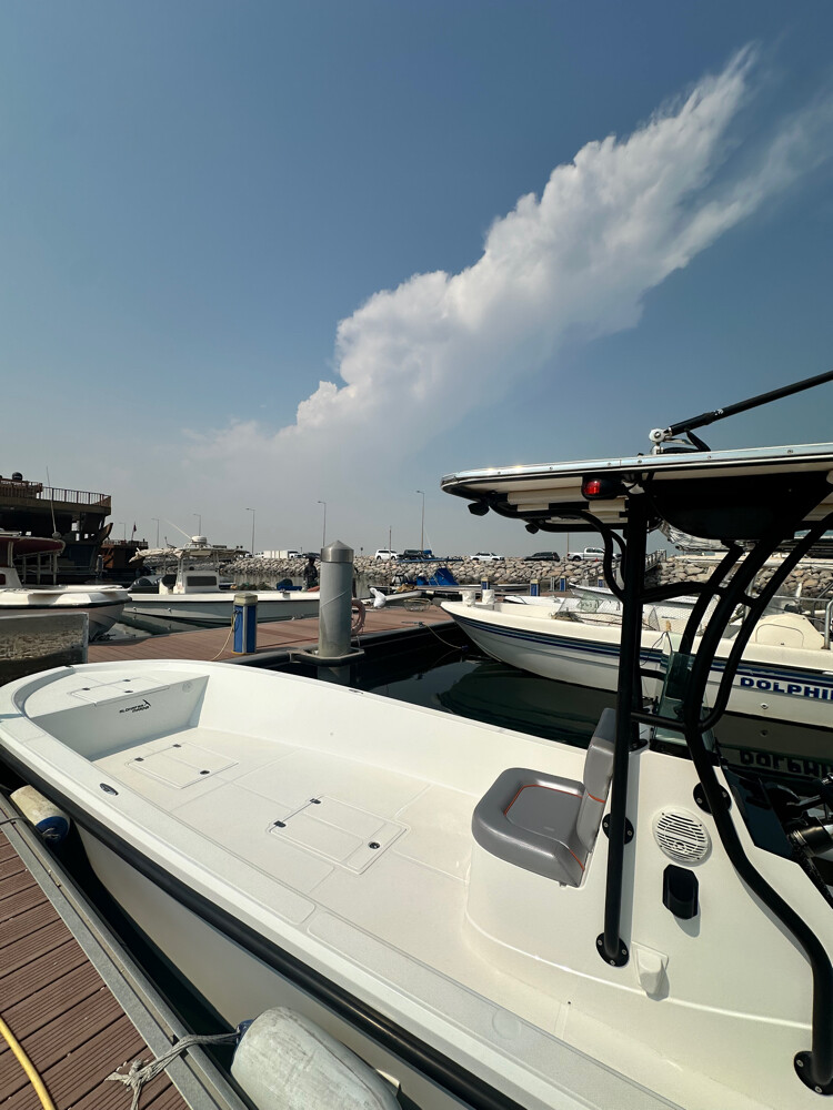 Al Dhafra Marine - 4