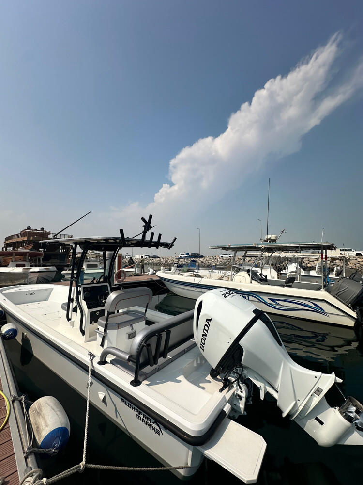 Al Dhafra Marine - 6