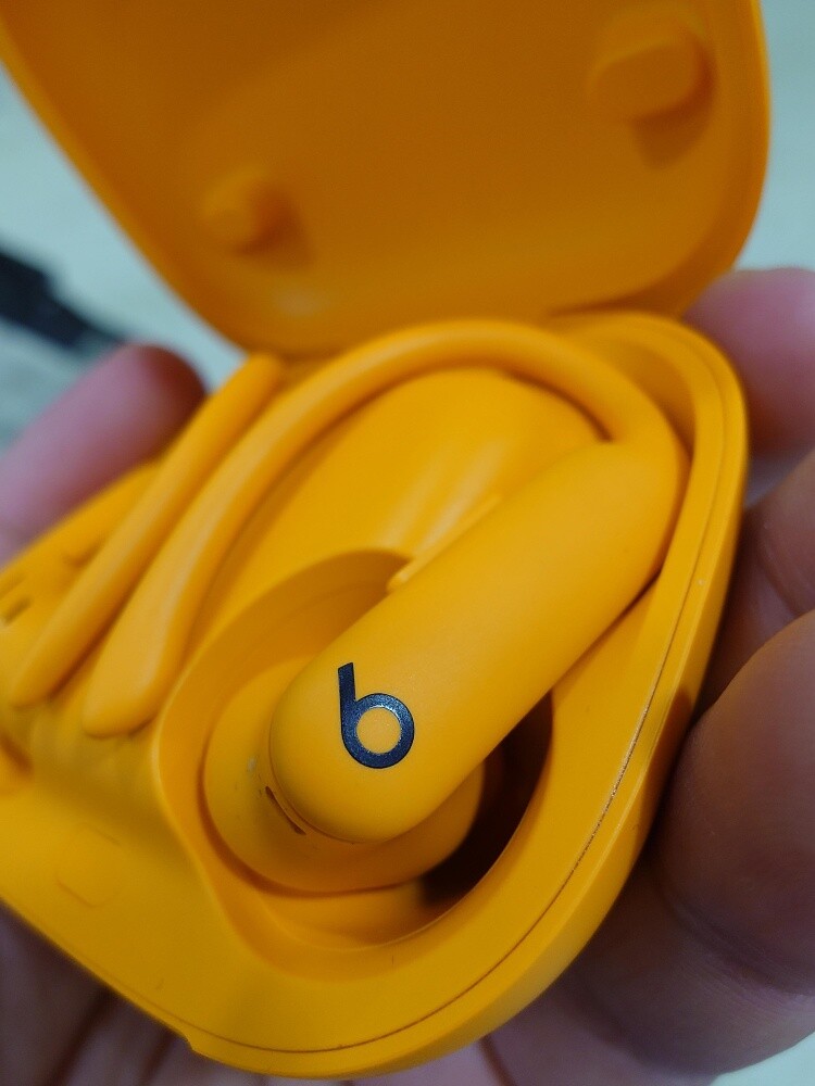 The Power BEATS Pro 2 Earbuds - 6