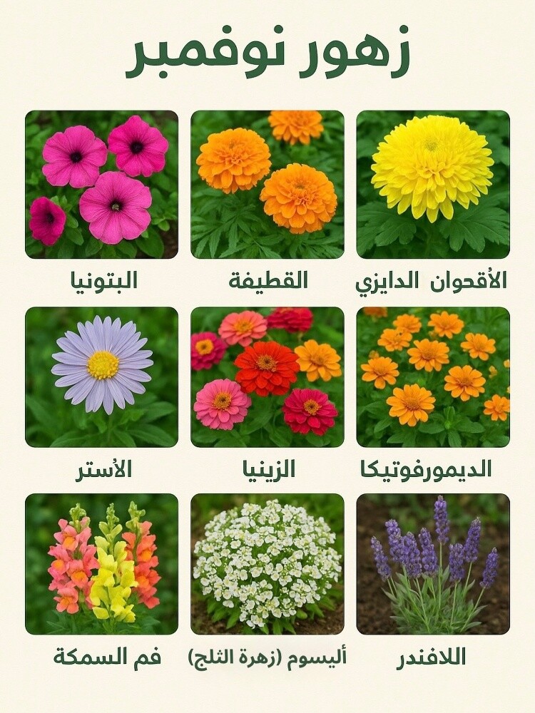 زراعه الورود والاشجار والنخيل - 5
