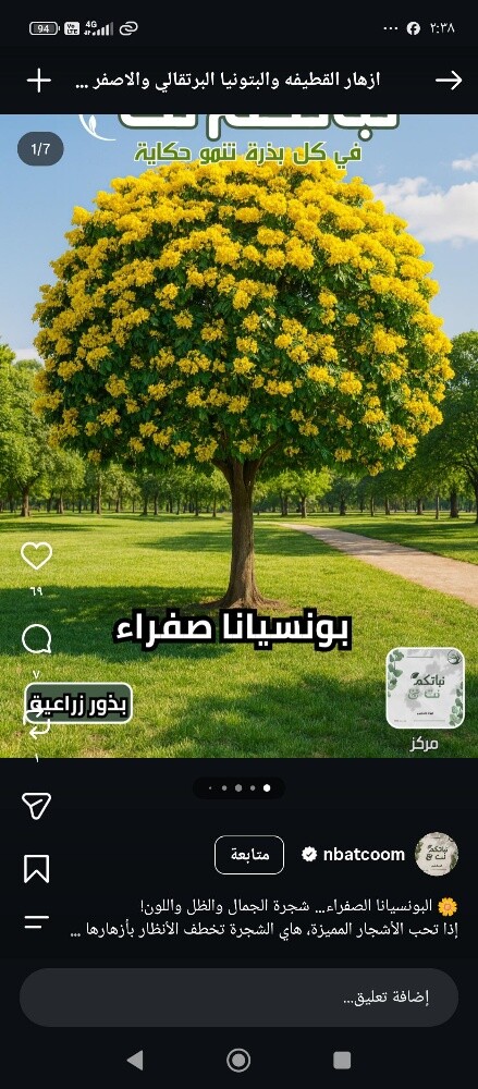 زراعه الورود والاشجار المثمره - 9