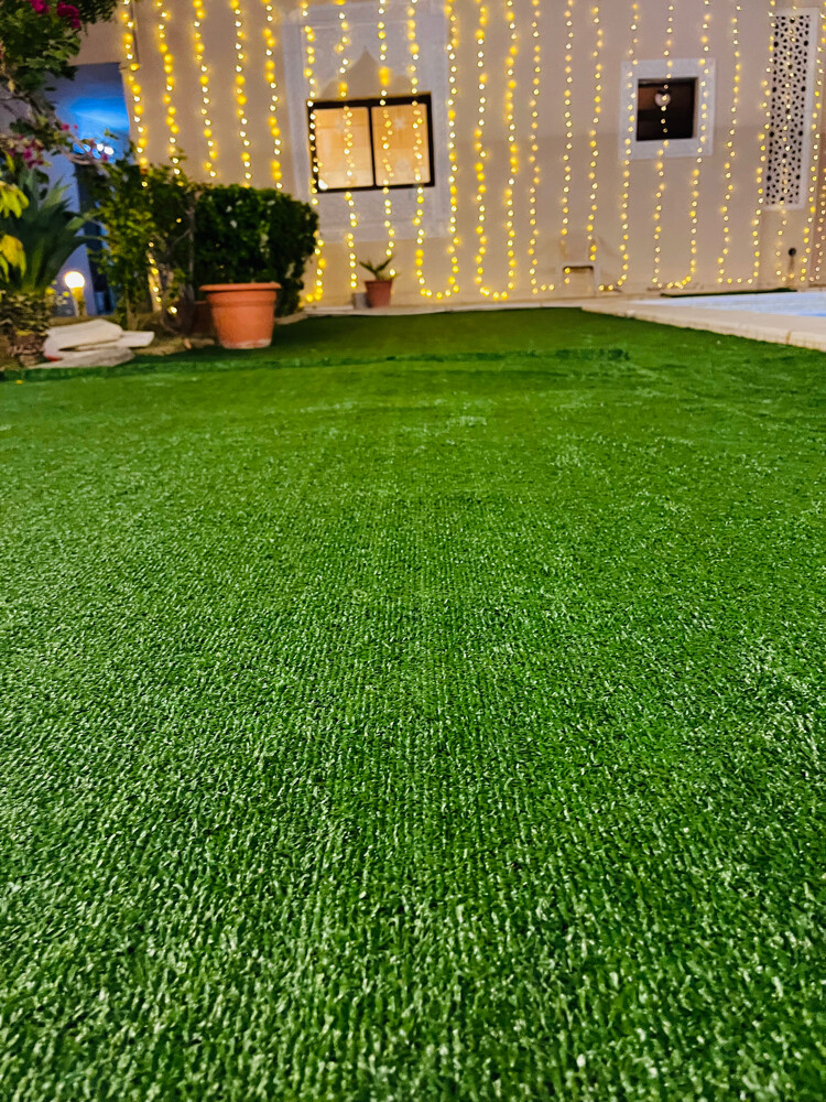 Carpet - 10