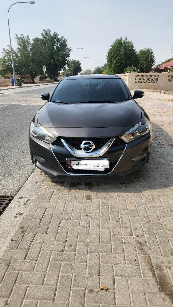 حازم ابوريان - 1