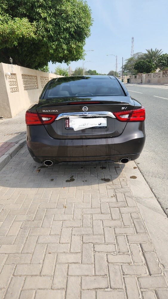 حازم ابوريان - 2