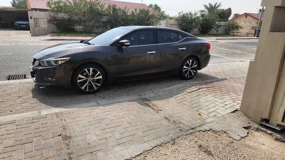 حازم ابوريان - 4