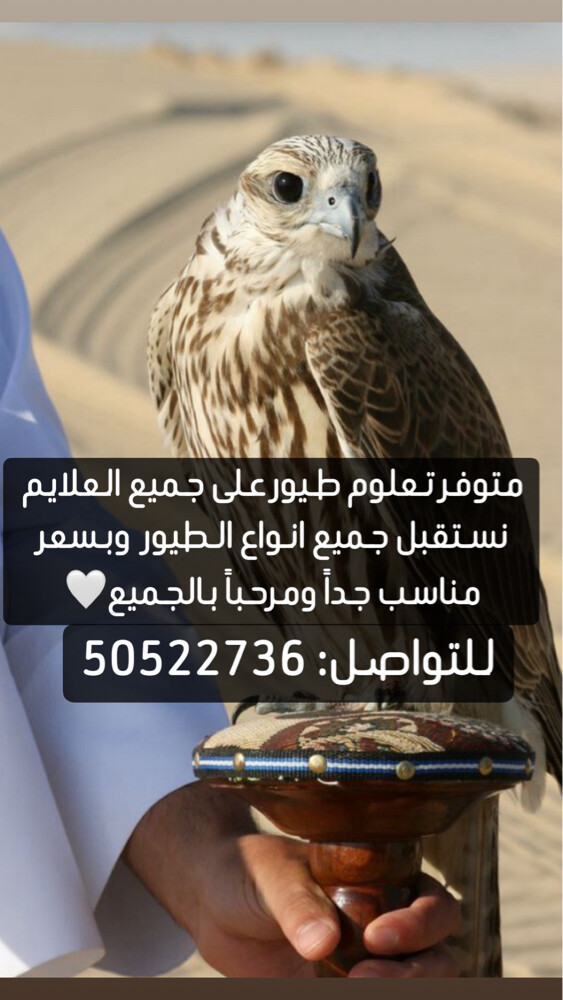 متوفر تعلوم طيور على جميع العلايم - 1