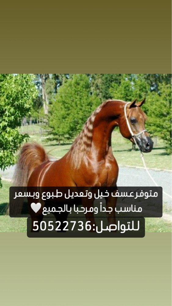 عسف خيل وتعديل طبوع بسعر مناسب - 1