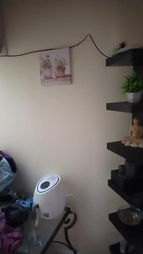 For rent studio fully furnished  - 1