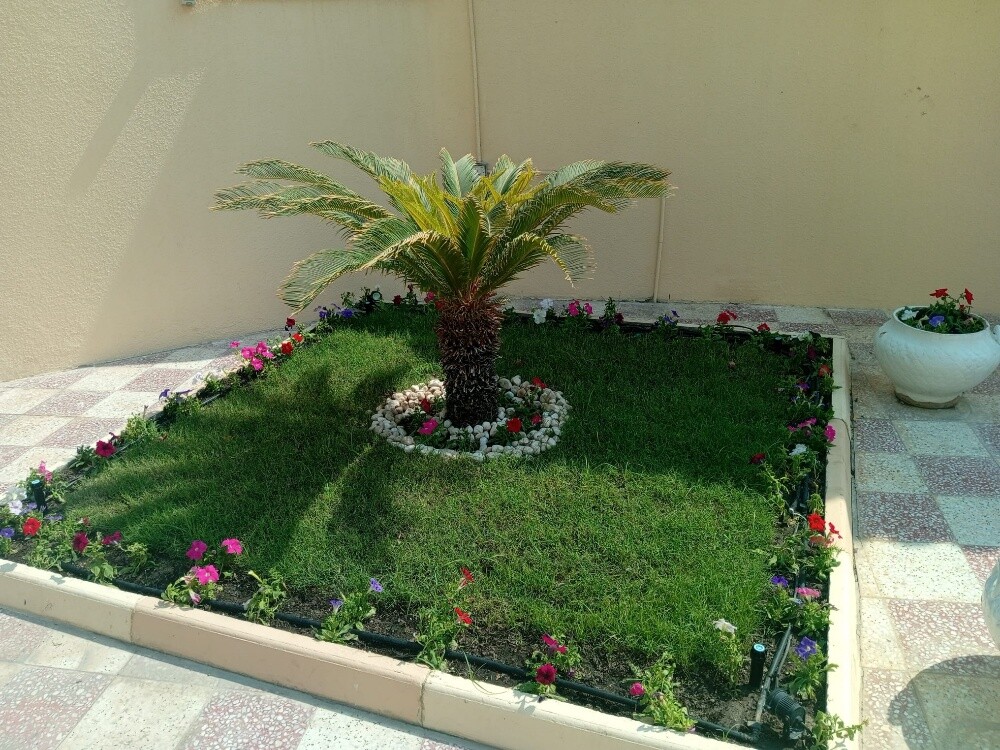 al balushi - 4