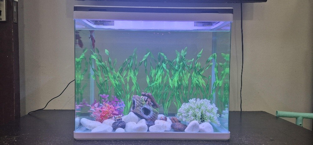 Big Aquarium for sale - 1