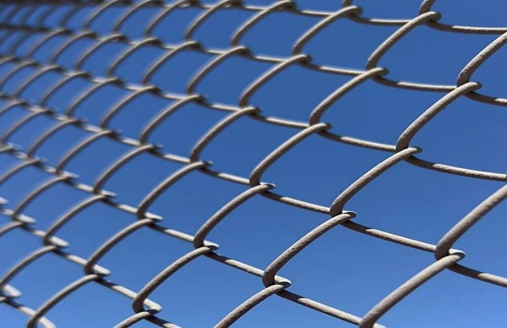 Fencing netting for farms, ranches, - 3