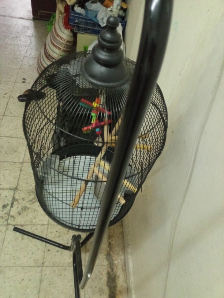 bird cage - 2