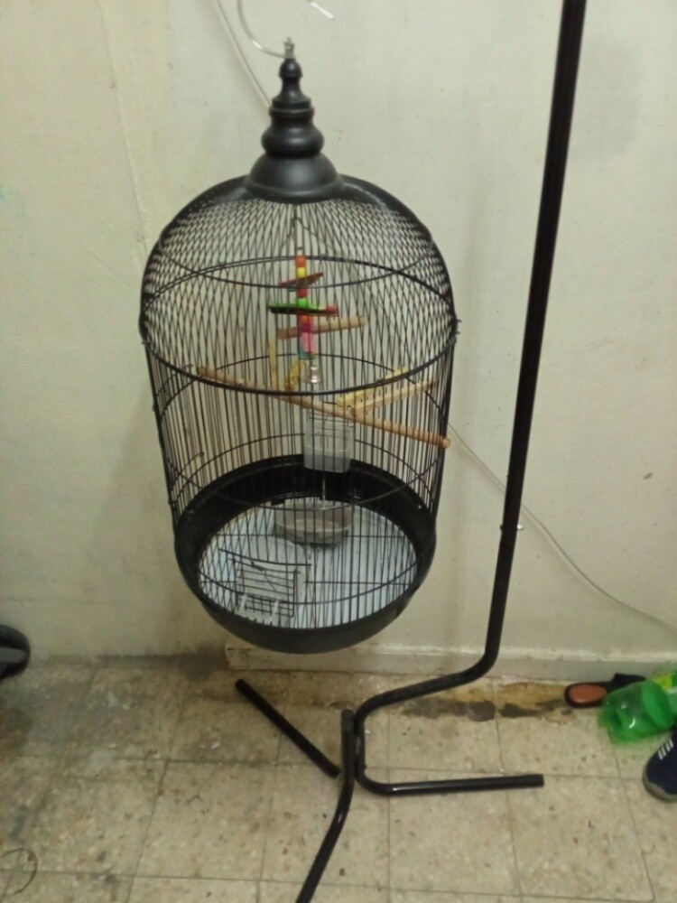 bird cage - 1