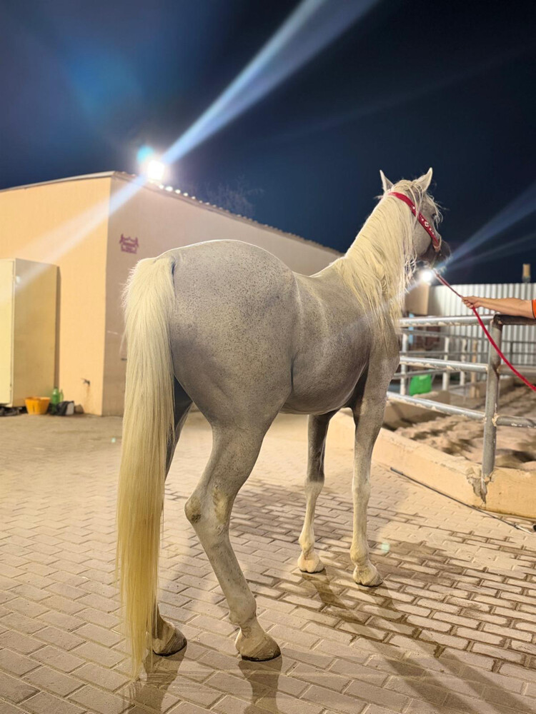 إزهام - 1