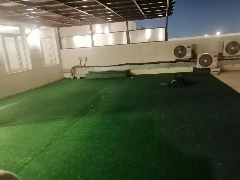 عشب أخضر ترتان اخضر موكيت العشب ا - 2