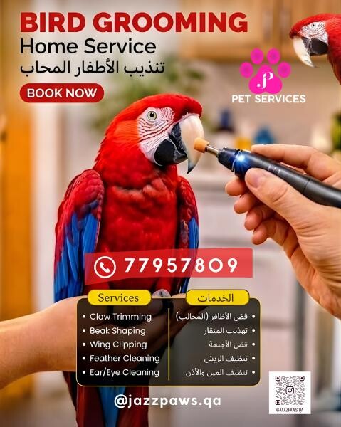 Parrot Grooming Home Services - 1