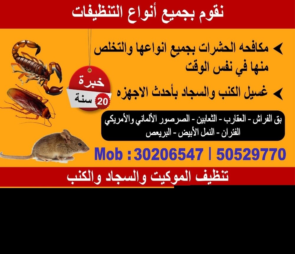 تنظيف الكنب والسجاد - 1