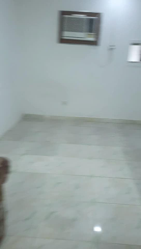 ستوديوارضى عائلى بمعيذرشمالى غرفه - 1