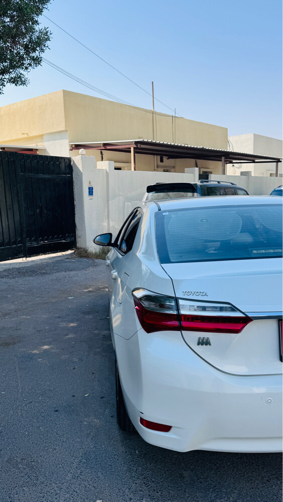 Mohammad - 5