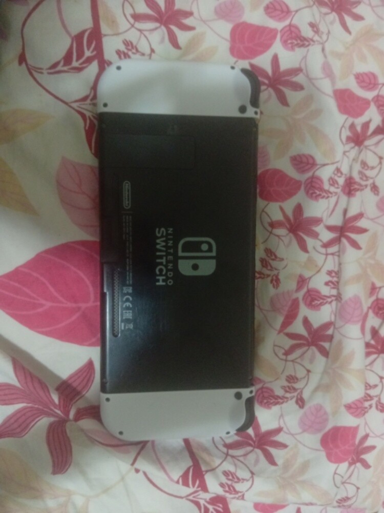 NINTENDO SWITCH COMBO ( read disc) - 2