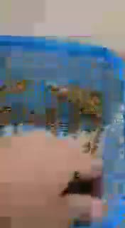 متكامل سوبر حي جميع طيور - 1