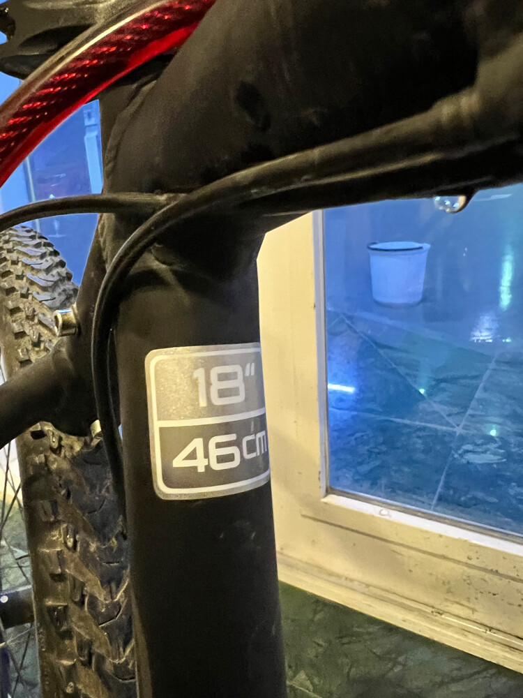 Trek Bicycle - 5