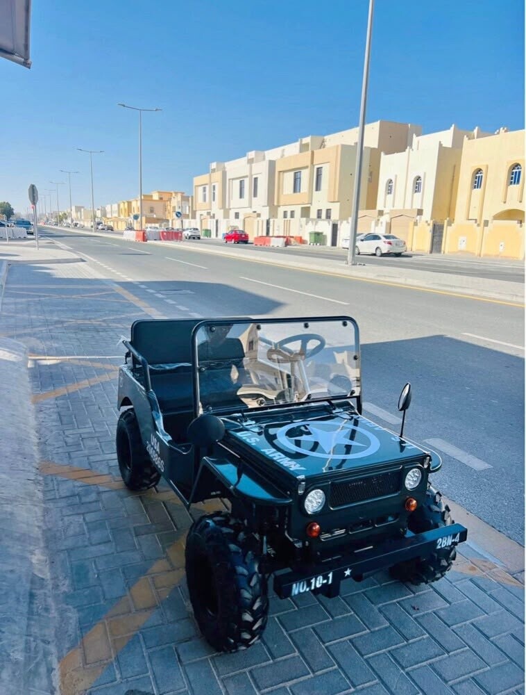 Mini Jeep - 5