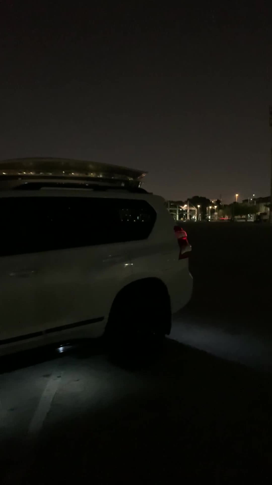 PRADO FIRST OWNER FULL OPTION Lo KM - 17