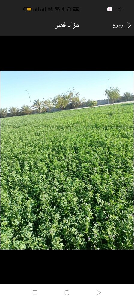نقوم بزراعة الجت - 1
