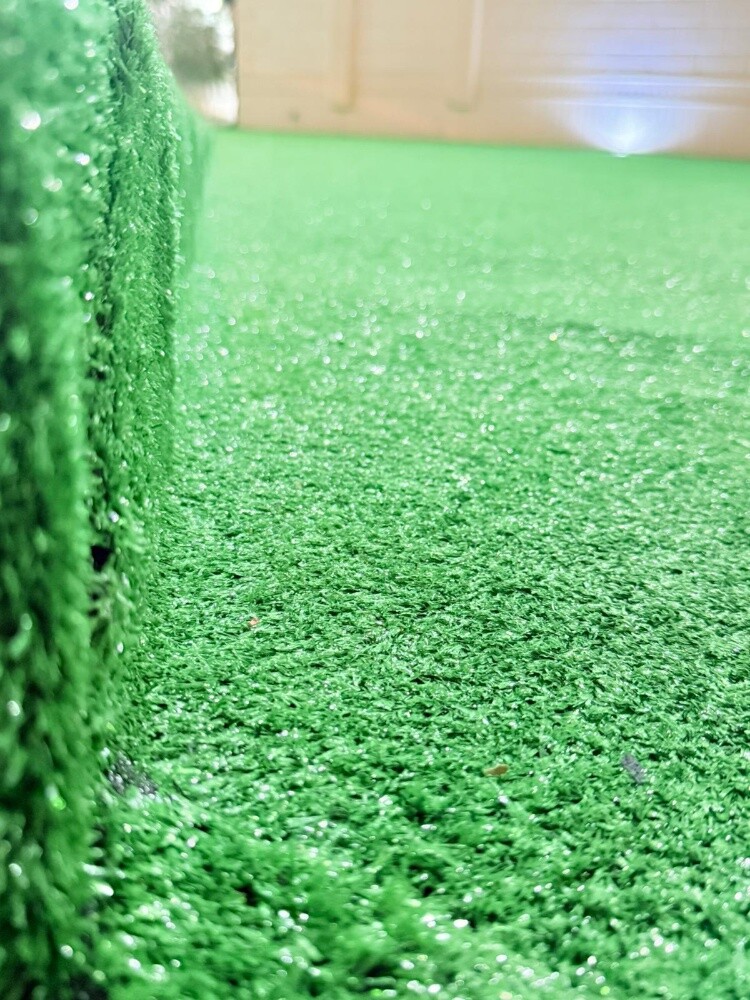 green grass carpet - 6
